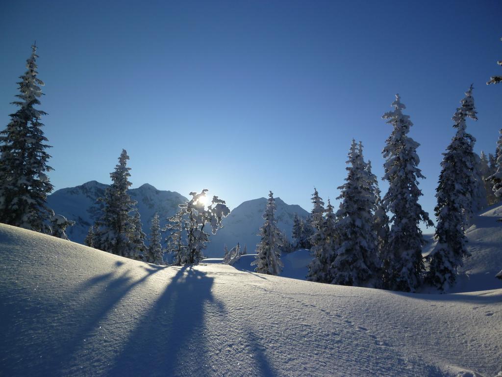 Schweizer Hof Schwarzenberg im Bregenzerwald Exterior foto